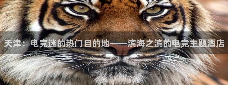 MK电竞官网：天津：电竞迷的热门目的地——滨海之滨的电竞主题酒店