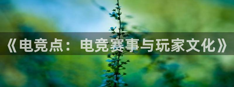 MK电竞：《电竞点：电竞赛事与玩家文化》