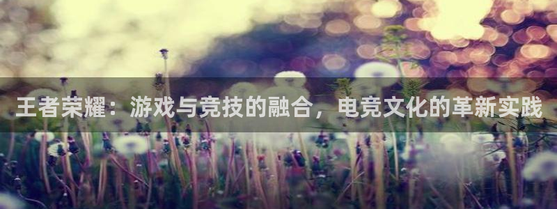 mk电子竞技：王者荣耀：游戏与竞技的融合，电竞文化的革新实践