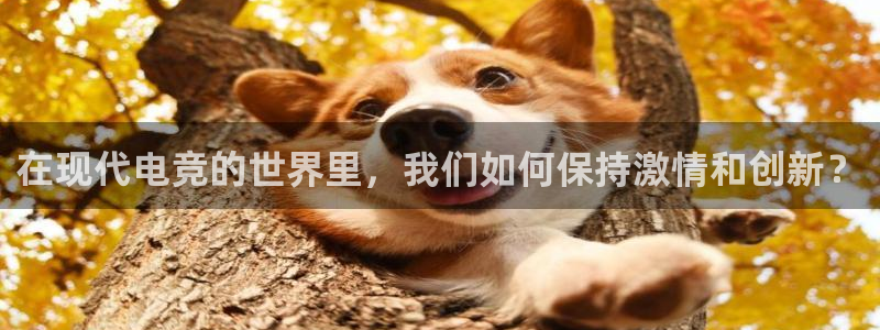 MK电竞：在现代电竞的世界里，我们如何保持激情和创新？