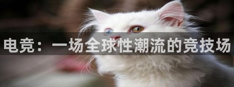 MK电竞：电竞：一场全球性潮流的竞技场