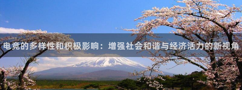 mk电子竞技：电竞的多样性和积极影响：增强社会和谐与经济活力的新视角