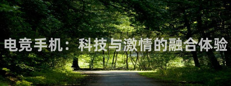 MK电竞官网：电竞手机：科技与激情的融合体验