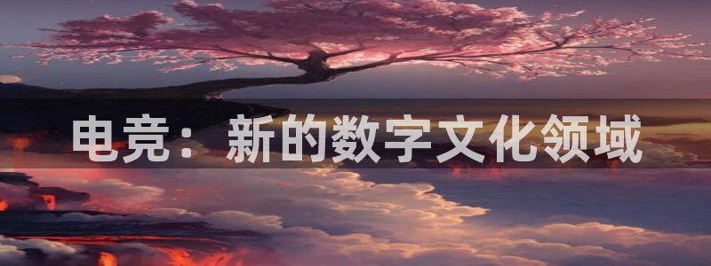 MK电竞：电竞：新的数字文化领域